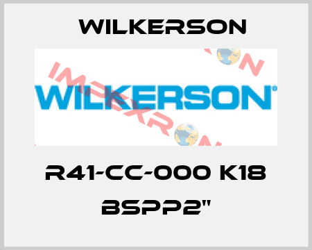 R41-CC-000 K18 BSPP2" Wilkerson