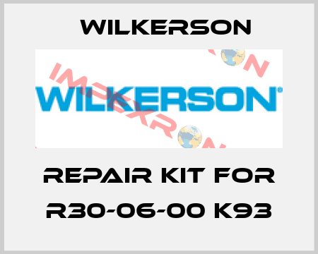 repair kit for R30-06-00 K93 Wilkerson