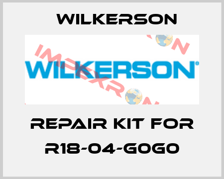 repair kit for R18-04-G0G0 Wilkerson